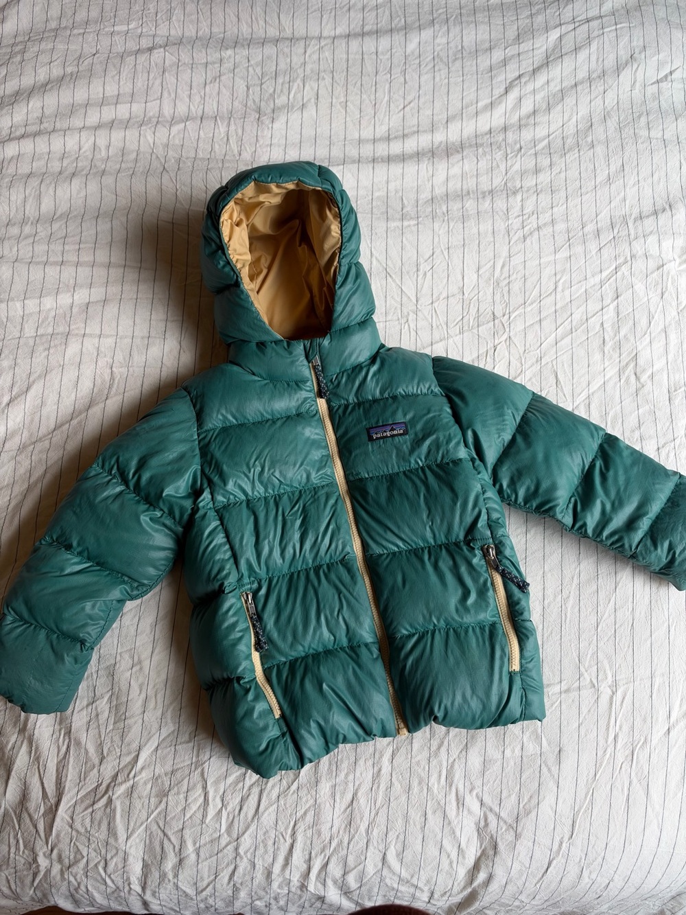 Patagonia Hi-Loft Down Sweater Hoody 5T Teal Green Hooded Puffer Jacket for Kids